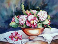 Camellias