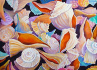 Rainbow of Conchs