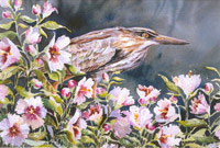 Heron in Marsh Mallow